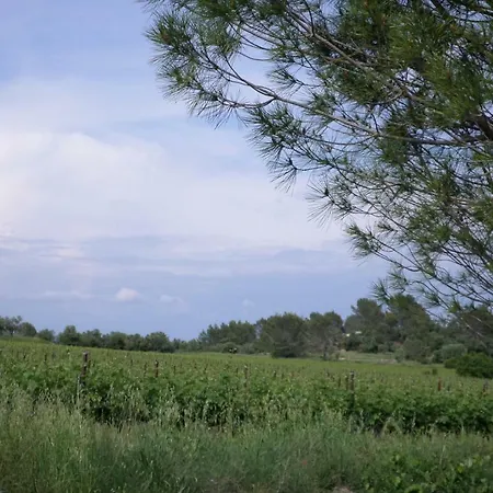 La Devoisiere * Saint-Drezery