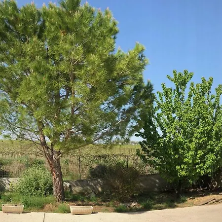 Daire La Devoisiere Saint-Drezery