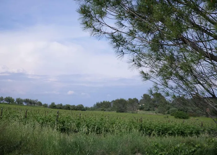 La Devoisiere * Saint-Drezery